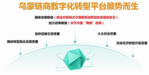 烏蒙鏈商以數字化技術為核心 打造線上線下數字化綜合服務應用平臺